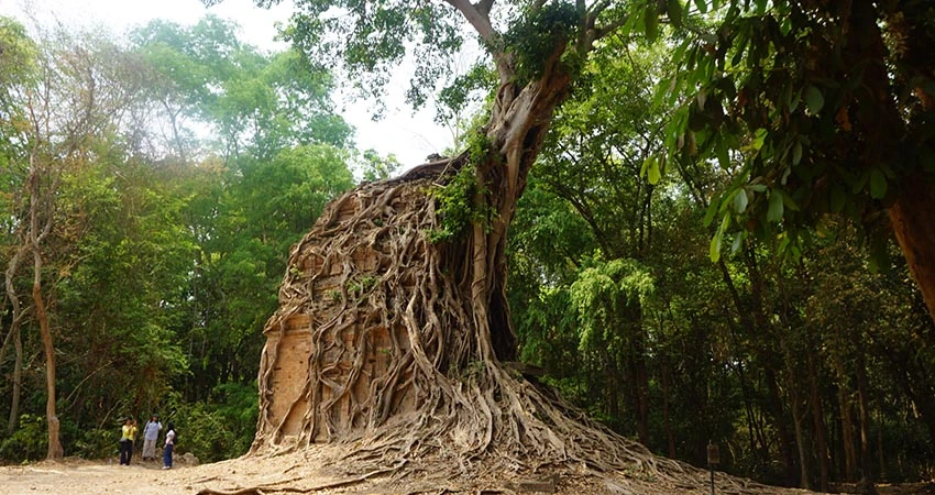sambprey kuk visite cambodge